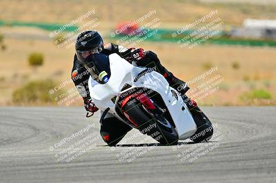 media/May-16-2025-2WTD (Fri) [[87c82739e1]]/B Group/Session 3 (Turn 4)/